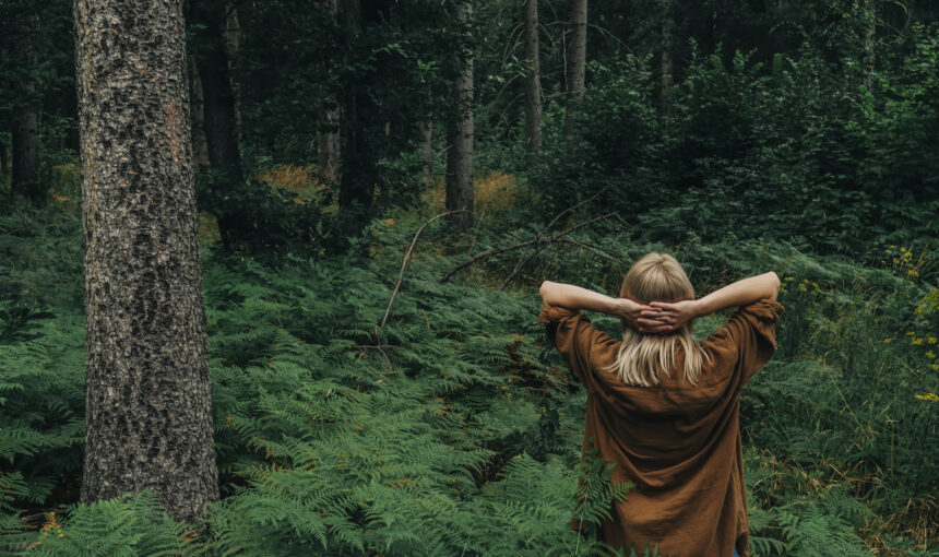 Wellness Tourism in 2026: The Future of Health-Oriented Travel Rooted in Nature and Culture